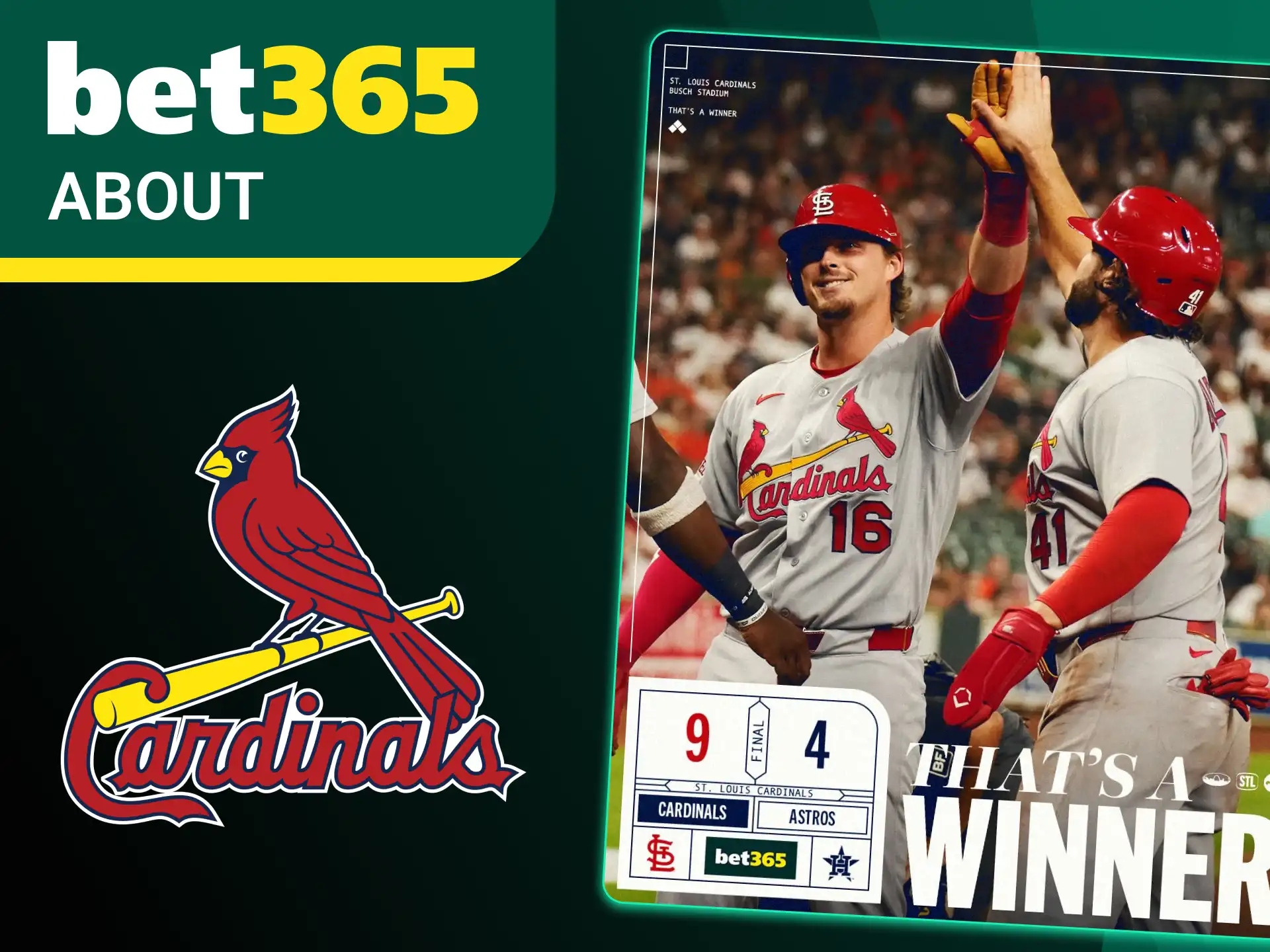 Learn about the St Louis Cardinals history and make successful bets on bet365.